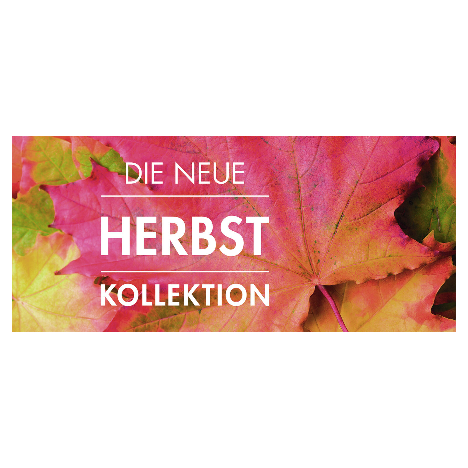 Plakatstreifen Die neue Herbst Kollektion