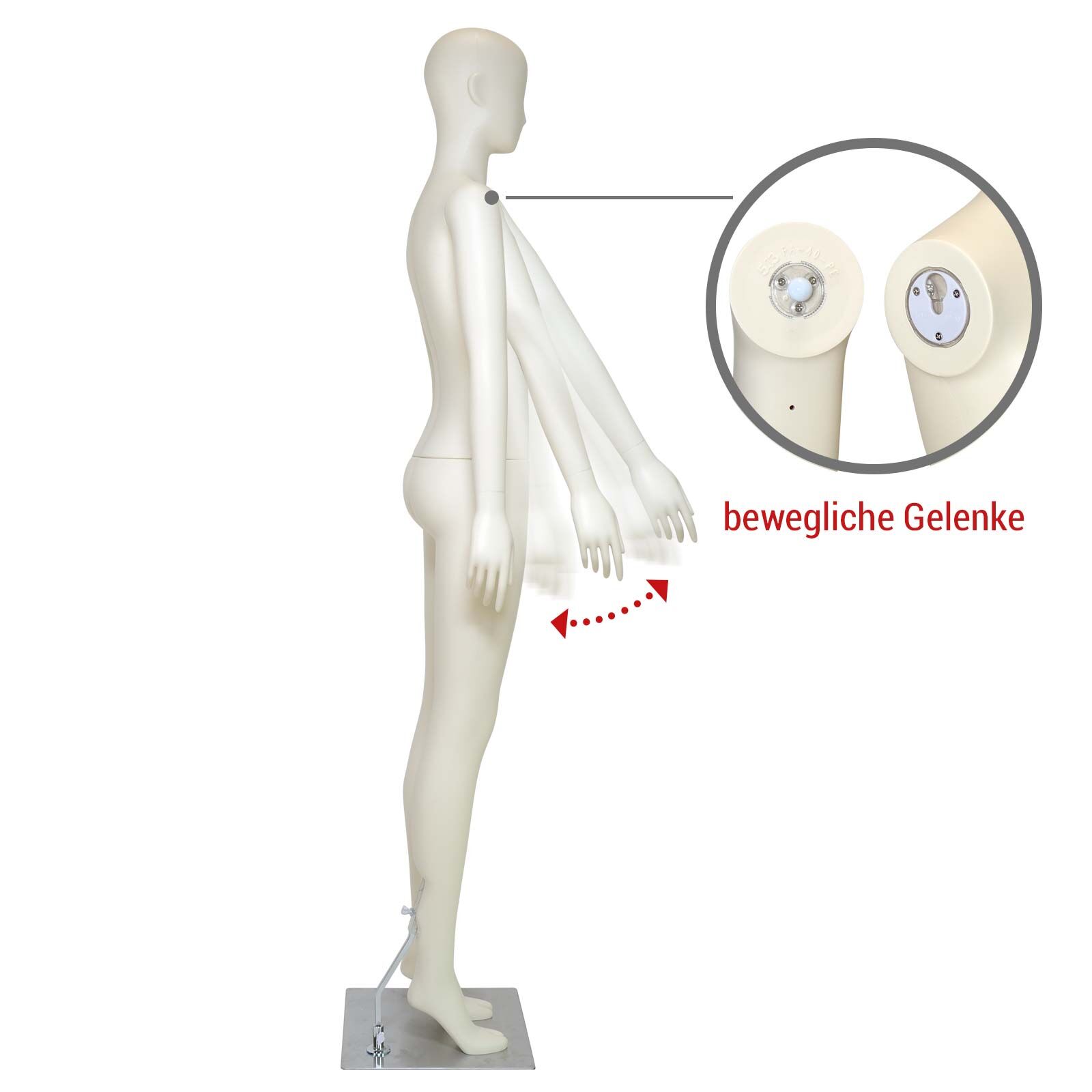 Schaufensterpuppe Optima, beige, matt Bild 5