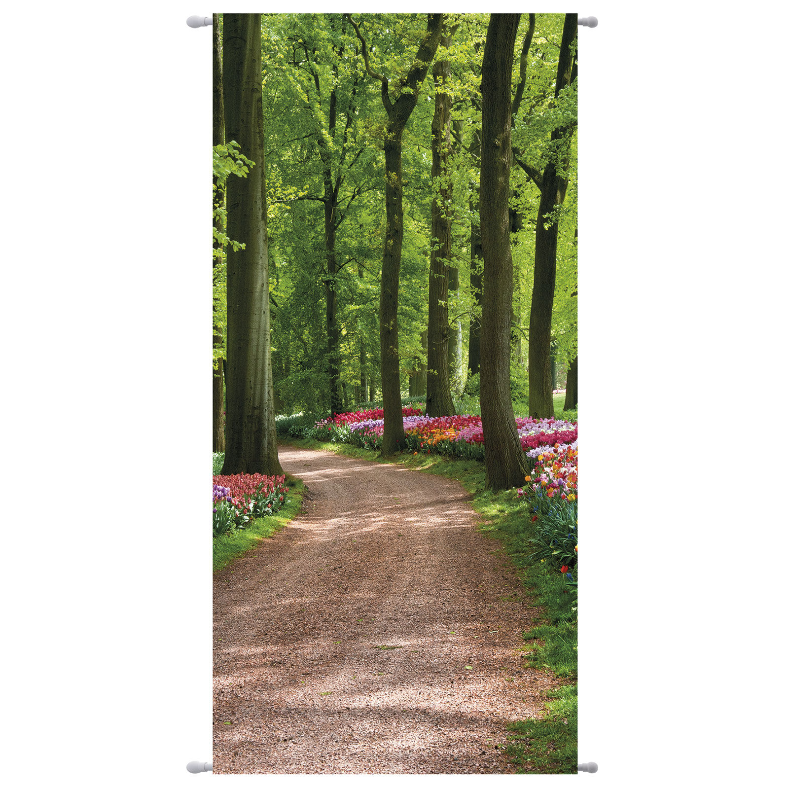 Set Display Polyester-Banner Alisa