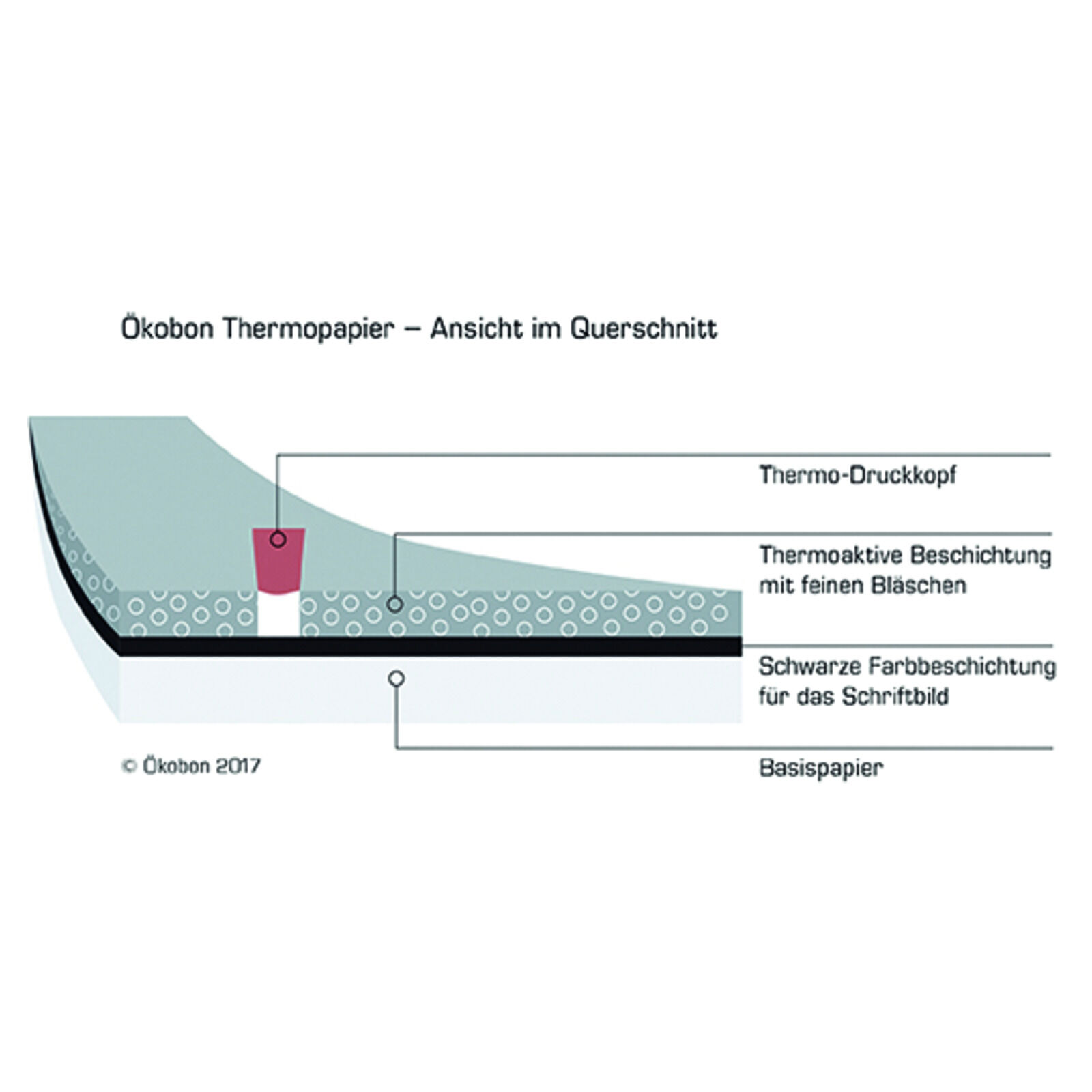 5 kobon Thermobonrollen 80/80/12 mit kobon-Infotext FSC Bild 3