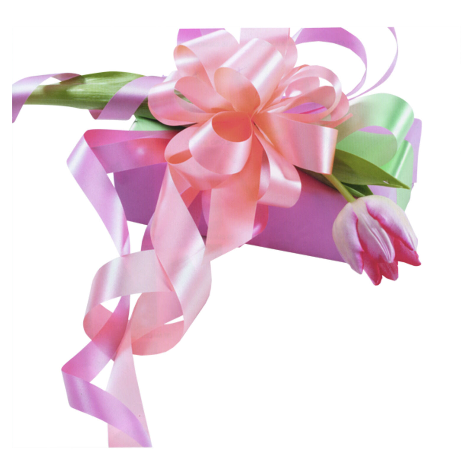 Ziehschleifenband 19mm:40m k�nigsblau Bild 3