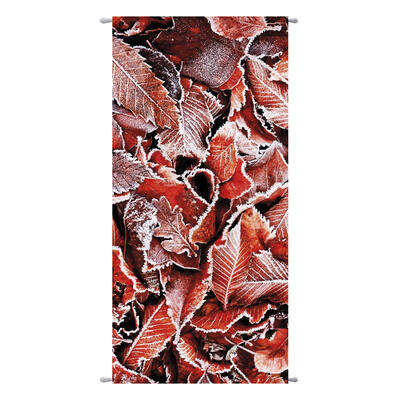 Set Display Polyester-Banner Dexter