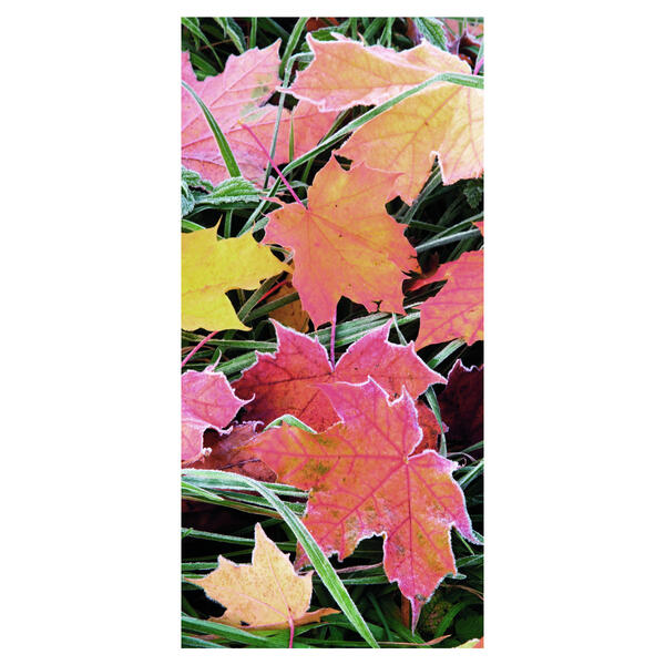Display Polyester-Banner Julian
