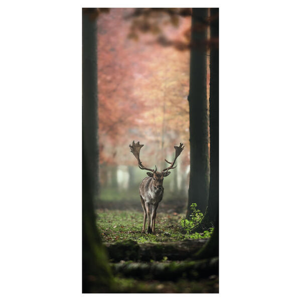 Display Polyester-Banner George