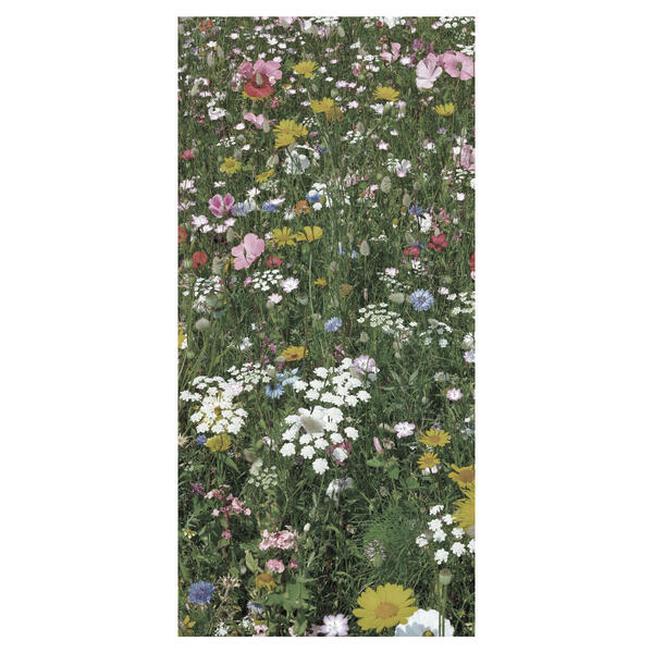 Display Polyester-Banner Lilly