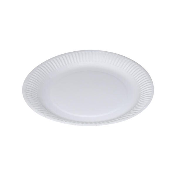 Pappteller  23cm, 100St.